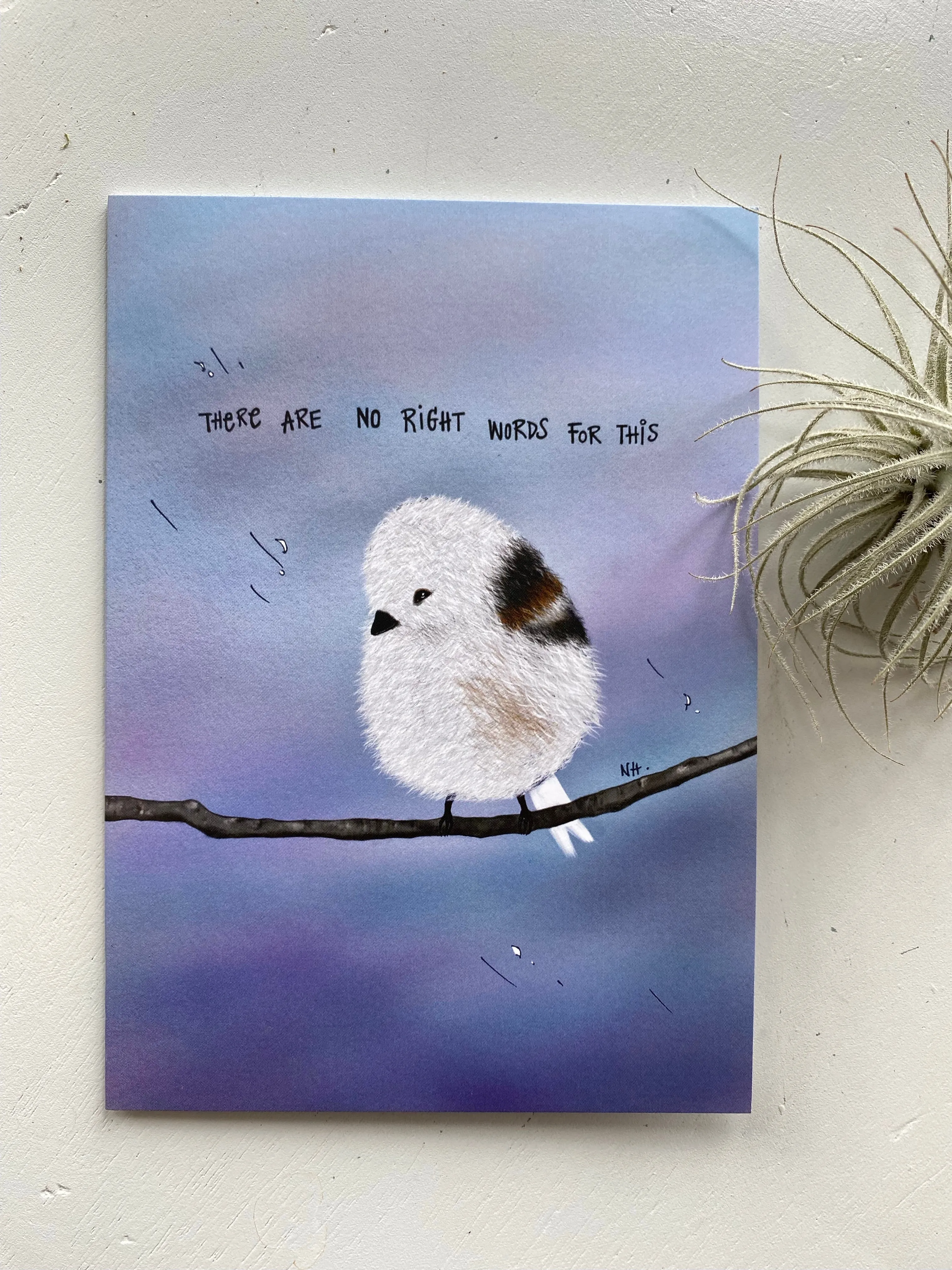 I'm So Sorry: Greeting Card