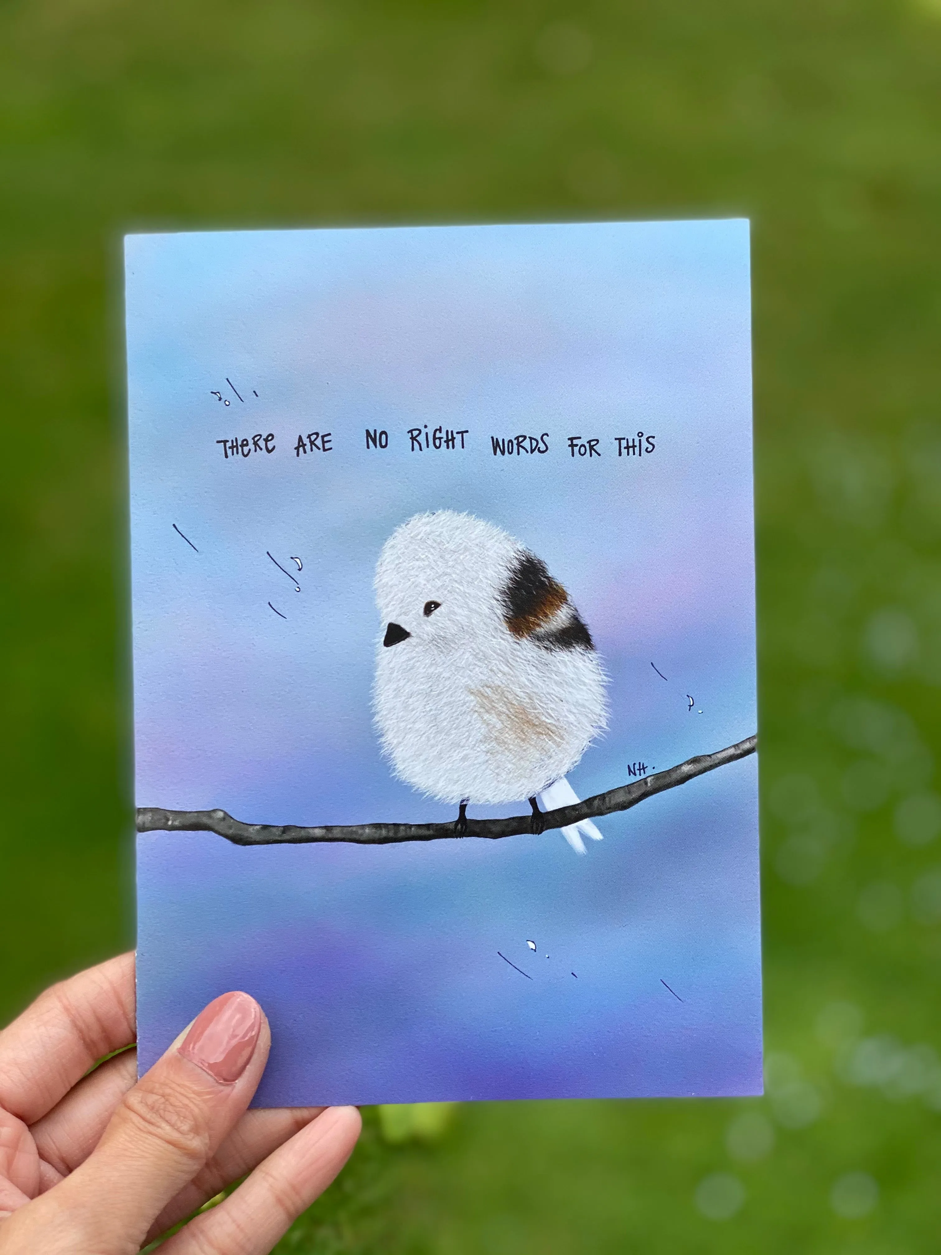 I'm So Sorry: Greeting Card