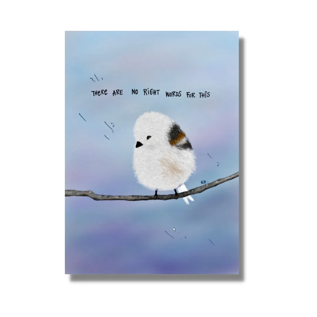 I'm So Sorry: Greeting Card